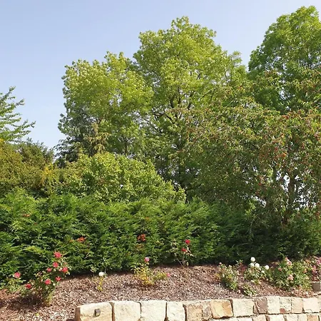 Im Gruenen I * Grebenstein