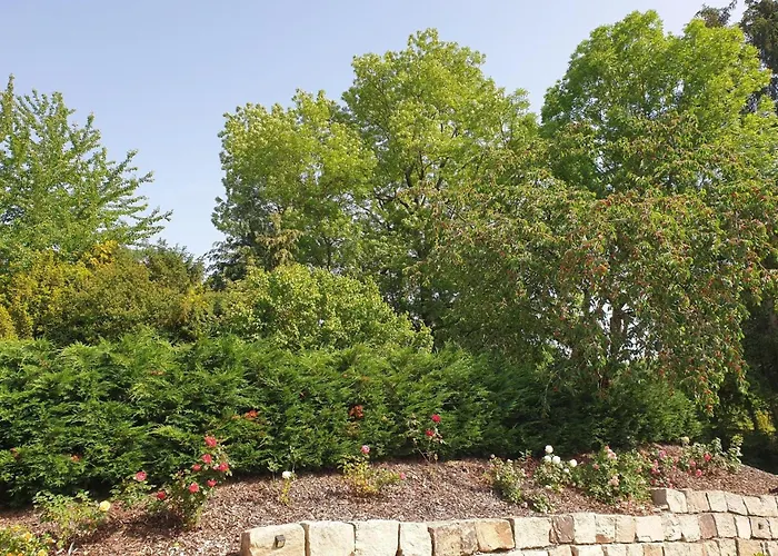 Im Gruenen I * Grebenstein